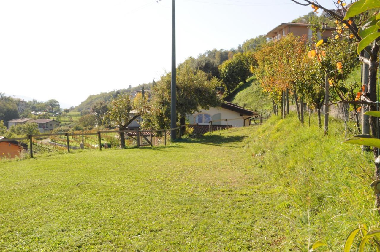 Villetta 56 Blu Yellow And Red Lake View Garden Private Parking By Garda Domus Mea Tremosine Exterior photo